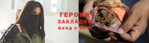 хмурый Аркадак