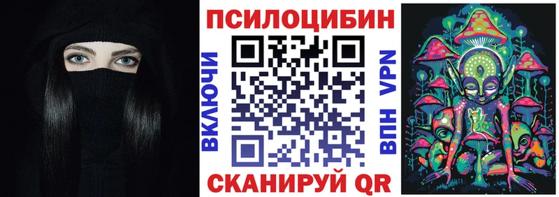 Галлюциногенные грибы Psilocybe Гвардейск