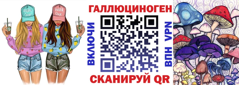 KRAKEN ONION  Гвардейск  Псилоцибиновые грибы ЛСД 